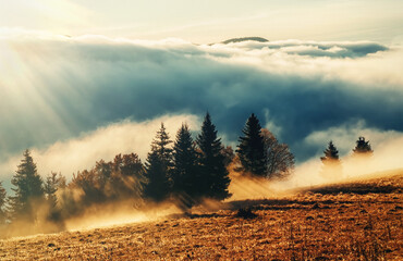 A serene and beautiful sunrise shining over a misty autumn landscape filled.