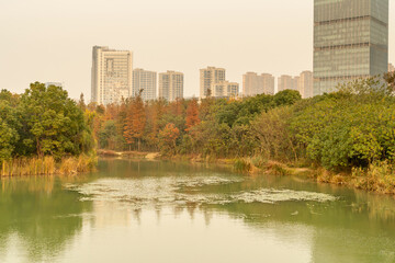 Obraz premium Lakeside modern office building in China
