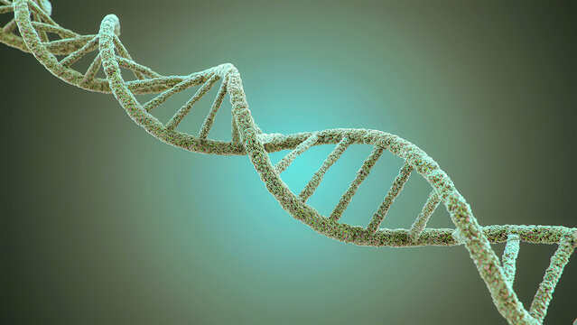 the smallest details of the molecular structure of DNA
