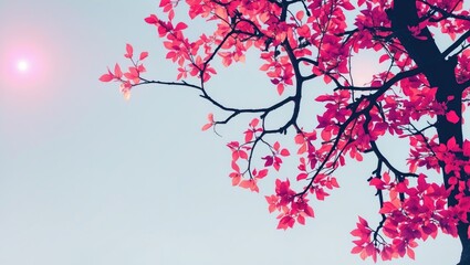 Fototapeta premium Vibrant pink leaves silhouette against a soft blue sky with sunlight creating a serene and tranquil atmosphere in nature.