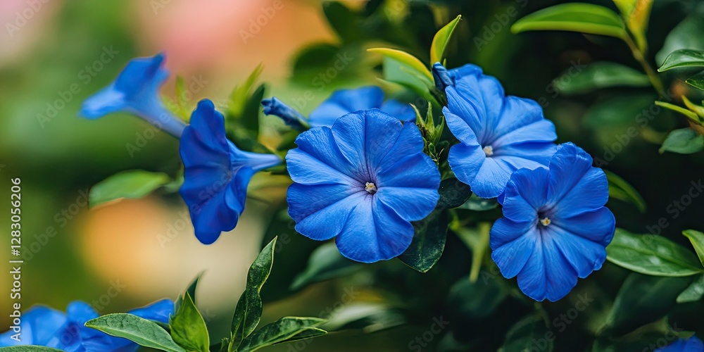 Poster vibrant blue flowers in lush green foliage captured in macro view with delicate petals and soft boke