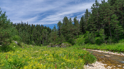 Fototapeta premium Picturesque banks of a mountain river in the valley