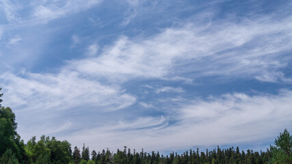 A thin strip of forest under a blue cloudy sky