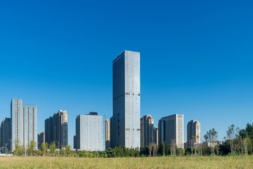 city park with modern building background in shanghai