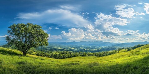 Fototapeta premium Lush green meadow under a bright blue cloudy sky with a prominent tree in the foreground and distant mountains creating a serene spring landscape.