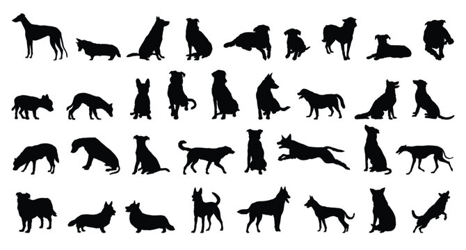 dog and puppy silhouette set. dog and puppy different breed. greyhound, pug, shepherd, French bulldog and others isolated farm animal silhouette icon vector collection