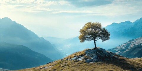 Solitary tree atop a rocky hill with golden grass, surrounded by misty blue mountains and a serene cloudy sky in a tranquil landscape.