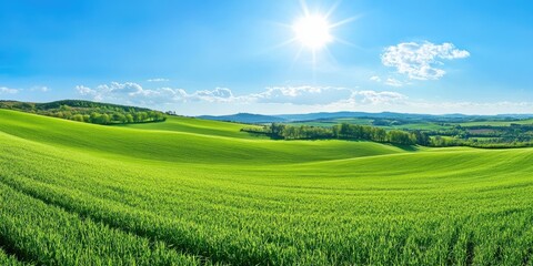 Obraz premium Vibrant green rolling hills under a bright sun with a blue sky and scattered clouds creating a peaceful nature landscape ideal for relaxation.