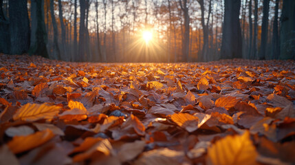 Fall background with golden leaves blanketing a forest floor and sunlight streaming through bare trees