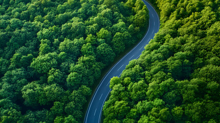 Aerial view of winding road through lush green forest.
