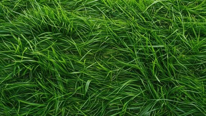Seamless texture of lush green grass ideal for backgrounds, sports fields, and nature-themed designs providing ample copy space.