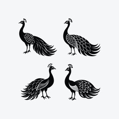 Naklejka premium Get a premium peafowl silhouette vector bundle with high-resolution, print-ready files. Ideal for t-shirts, stickers, logos, and more. Compatible with all design software.