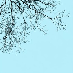 Branches reaching toward a serene blue sky on a calm day