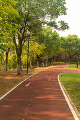 New pathway and beautiful trees track for running or walking and cycling relax in the park