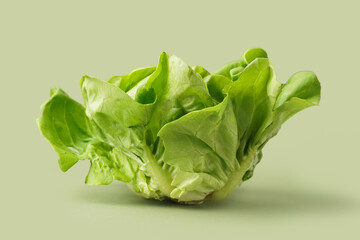 Fresh Boston lettuce on green background