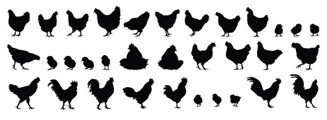 hen or chicken, rooster and chicks silhouette set. hen, rooster and chicks isolated farm animal silhouette icon vector collection © Yanka