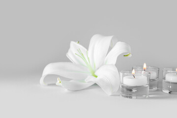 Beautiful lily flower with burning candles on grey background