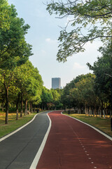 New pathway and beautiful trees track for running or walking and cycling relax in the park