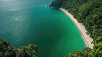 Aerial view of a secluded tropical beach with turquoise waters and lush green coastline surrounded by vegetation and trees. Copy Space
