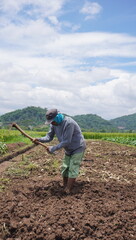 farmer working in the field