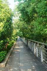 walkway in the modern city