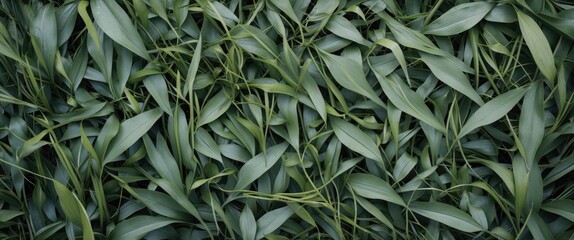 Naklejka premium Green leafy background texture with various shapes and sizes of leaves arranged densely, ideal for organic themes and design projects. Copy Space