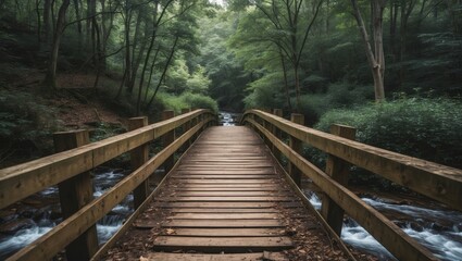 Fototapeta premium Wooden bridge over a stream surrounded by lush green trees in a tranquil forest setting with Copy Space for text placement