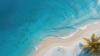 Obraz premium Aerial view of tranquil beach with clear blue water and sandy shore surrounded by palm trees under a bright sunny sky. Summer relaxation vibe.
