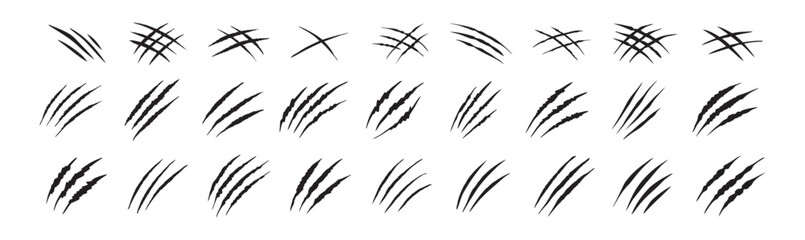Claw scratches isolated. Black Bear tiger claws trails, animal scratched white paper. Flat scratch marks, racy wild beast tracks clipart