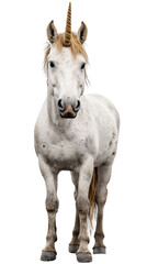 The image features a majestic white unicorn with a spiraled horn, standing with a strong and mystical presence.
