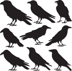 set of silhouettes of birds A collection of crow bird silhouettes, predominantly crows or ravens