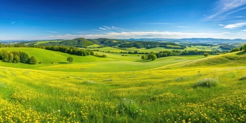 Fototapeta premium Panoramic aerial view of a vast green grass field with scattered wildflowers, rolling hills, and a clear blue sky on a sunny day , rolling hills, grass field