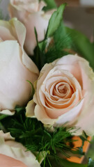 Pastel roses with green leaves