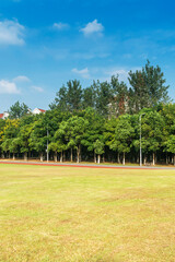 spring park and modern city