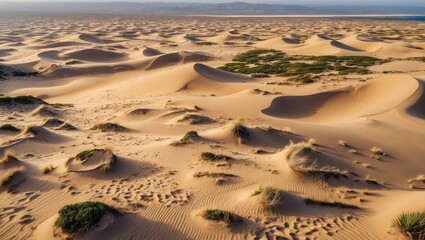 Expansive desert landscape with rolling sand dunes and sparse green vegetation under a clear blue sky