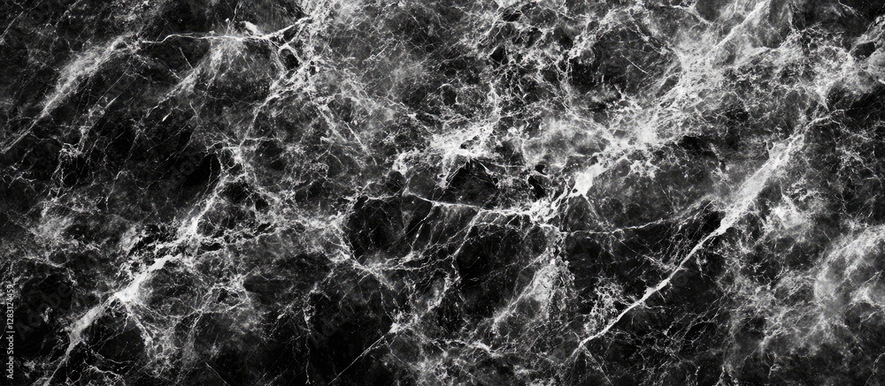 Poster elegant black and white marble texture background with intricate white veining on deep black surface