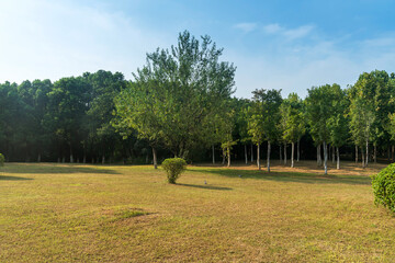 Beautiful panorama of green city park