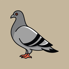 pigeons vector ilustrasi simple modern flat design