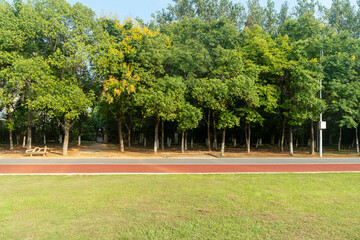 Beautiful panorama of green city park