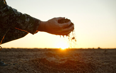 Farmer holding ground in hands closeup while sunset. Male hands touching soil on the field during...