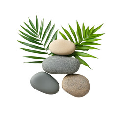 Stones and tropical leaves isolated on white backgrou