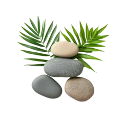 Stones and tropical leaves isolated on white backgrou
