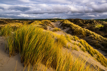 La plage et les dunes entre Quend-Plage et la Baie de Somme