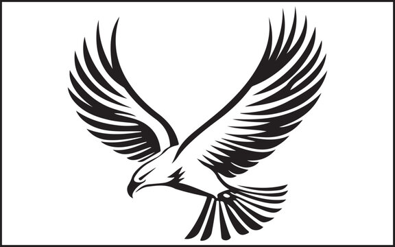 eagle vector illustration