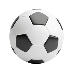 Obraz premium Classic black and white soccer ball design