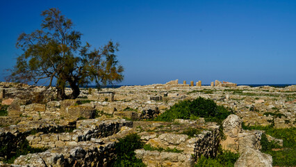l'area archeologica dell'antica città Punica di Kerkouane nei pressi di Hammamet,costa...