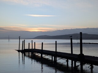 Fototapeta premium pier at sunrise 