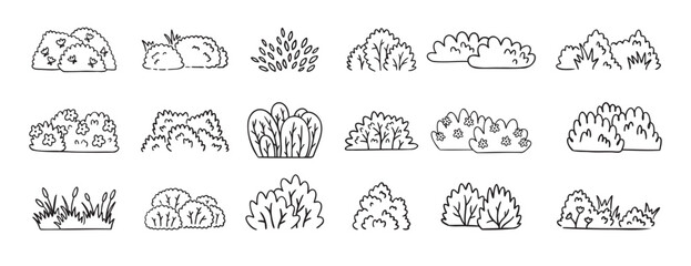 Bushes doodle hand drawn line icon set. Bushes clipart outline