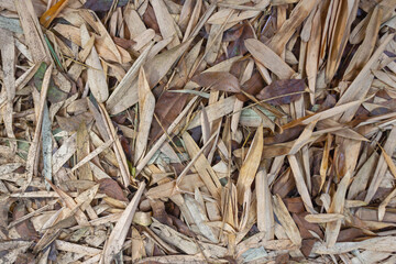 Full Frame Background Texture of Dry Bamboo Leaves