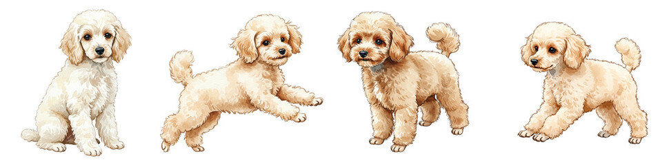 Charming Illustration of Four Playful Poodle Dogs in Various Poses for Creative Projects